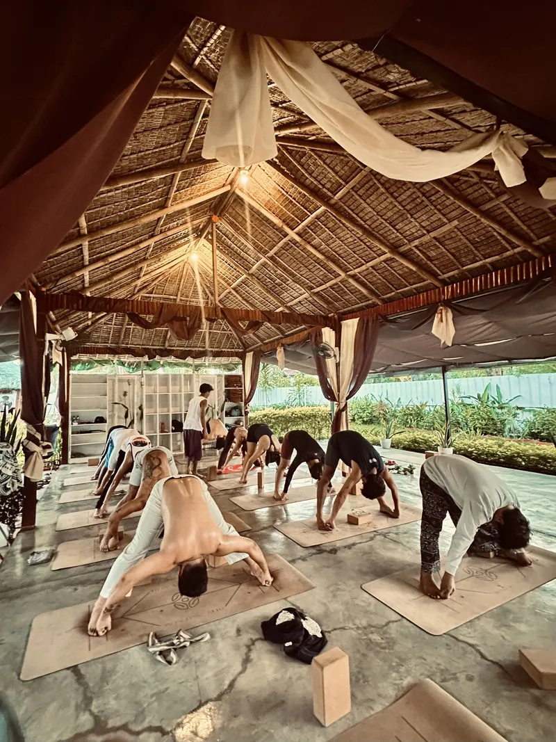 A full outdoor class in downward dog under the thatched pavilion