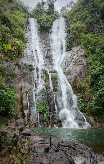 A tall waterfall cascading into a forest pool