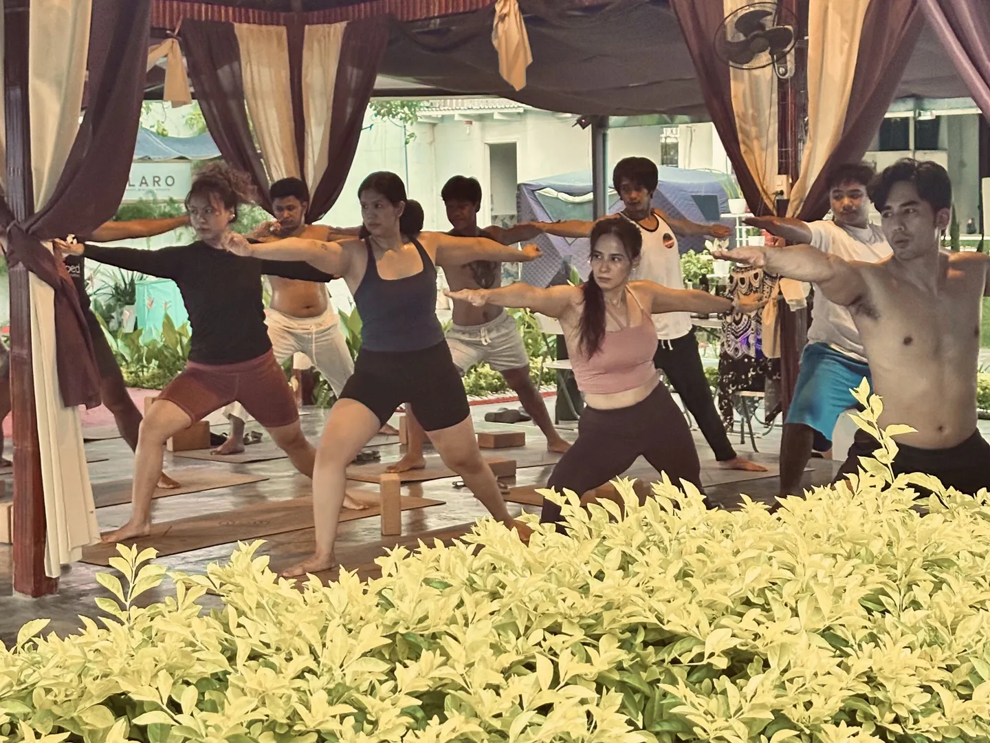 An outdoor yoga class holding warrior pose together under the draped Tallaro pavilion